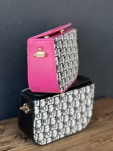 کیف پاسپورتی دیور 