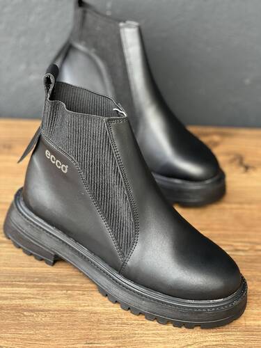 بوت کشی اکو